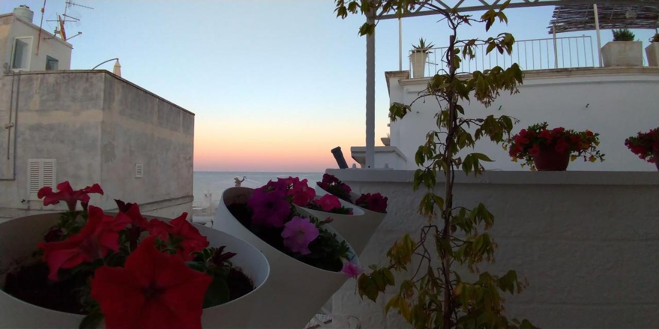 My Monopoli- Casa Dei Fiori "Orchidea" Centro Storico Hotel ภายนอก รูปภาพ