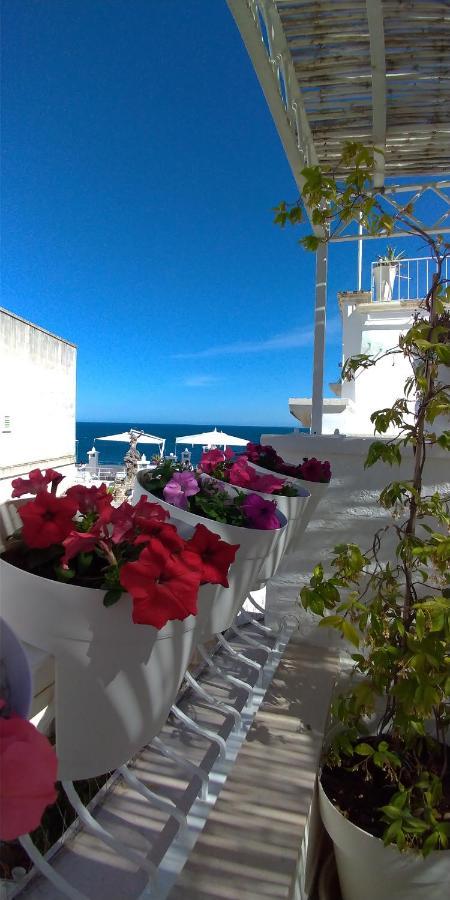 My Monopoli- Casa Dei Fiori "Orchidea" Centro Storico Hotel ภายนอก รูปภาพ