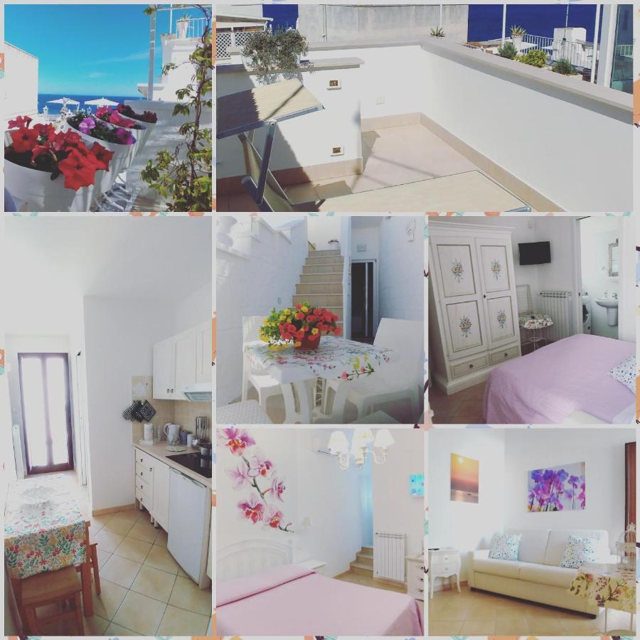 My Monopoli- Casa Dei Fiori "Orchidea" Centro Storico Hotel ภายนอก รูปภาพ